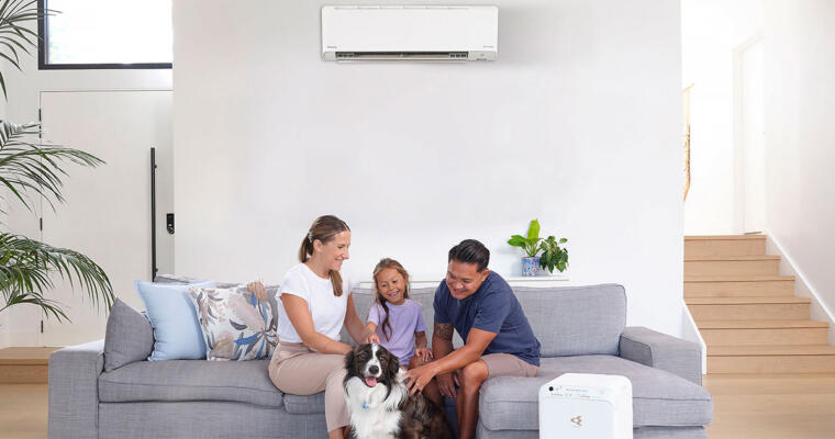 Daikin wall mounted split system air conditioning and purifier